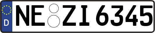 NE-ZI6345