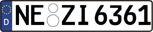 NE-ZI6361