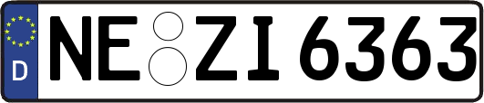 NE-ZI6363