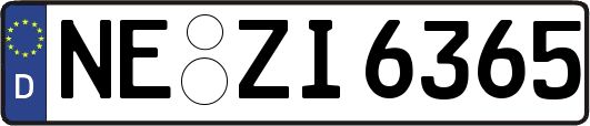 NE-ZI6365