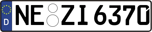 NE-ZI6370