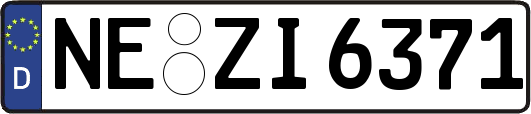 NE-ZI6371
