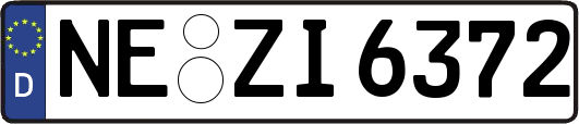 NE-ZI6372
