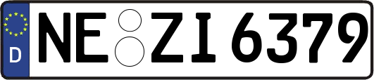 NE-ZI6379