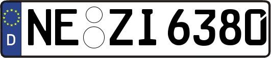 NE-ZI6380