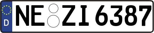 NE-ZI6387