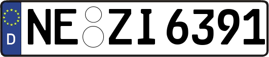 NE-ZI6391