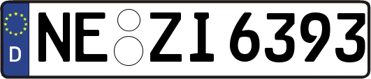 NE-ZI6393