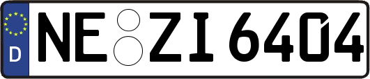 NE-ZI6404