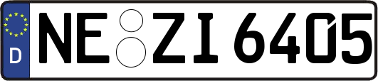 NE-ZI6405