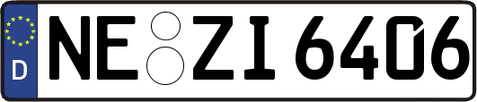 NE-ZI6406