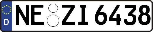 NE-ZI6438