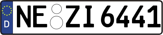 NE-ZI6441