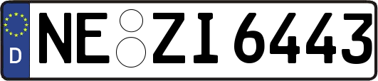 NE-ZI6443