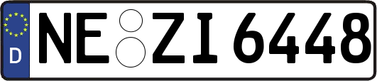 NE-ZI6448