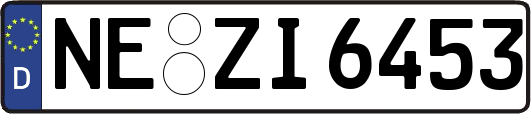 NE-ZI6453
