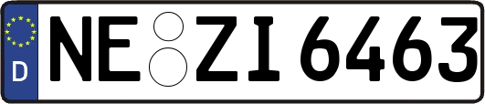 NE-ZI6463