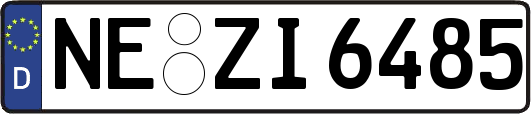 NE-ZI6485