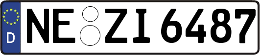 NE-ZI6487