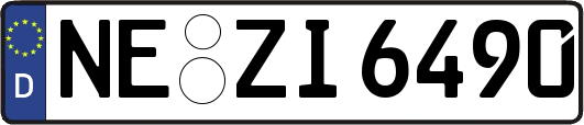 NE-ZI6490