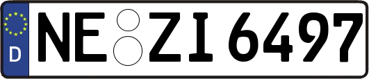 NE-ZI6497