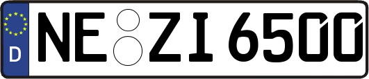 NE-ZI6500
