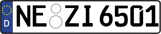 NE-ZI6501