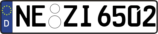 NE-ZI6502