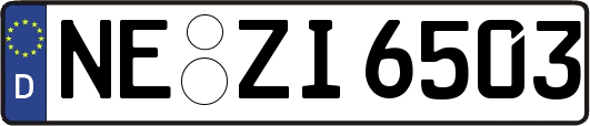 NE-ZI6503