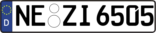 NE-ZI6505