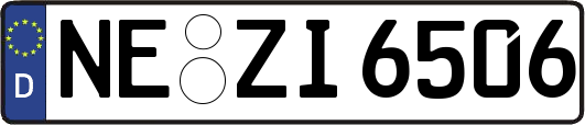 NE-ZI6506