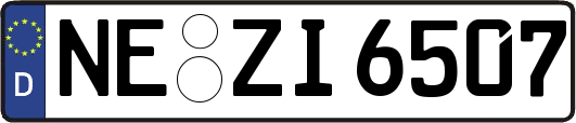 NE-ZI6507