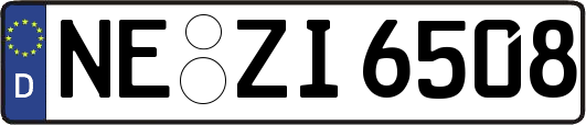 NE-ZI6508