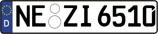 NE-ZI6510