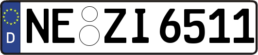 NE-ZI6511