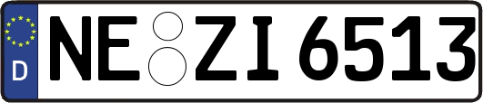 NE-ZI6513