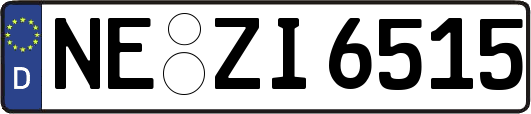 NE-ZI6515
