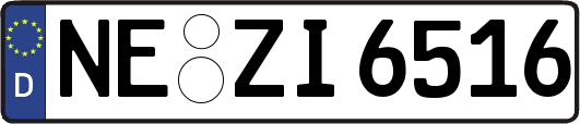 NE-ZI6516