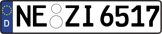NE-ZI6517
