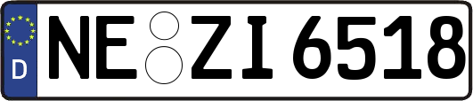 NE-ZI6518