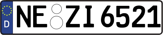 NE-ZI6521