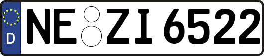 NE-ZI6522