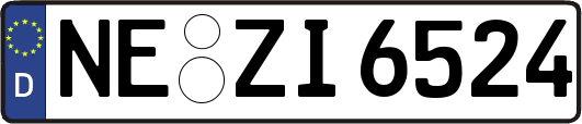 NE-ZI6524