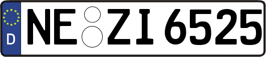 NE-ZI6525