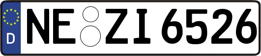 NE-ZI6526
