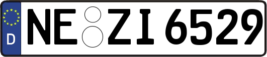 NE-ZI6529