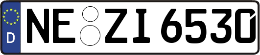 NE-ZI6530