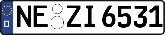 NE-ZI6531