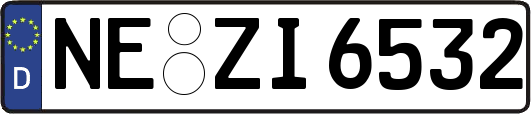 NE-ZI6532