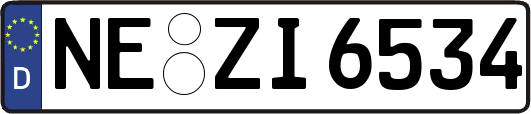 NE-ZI6534